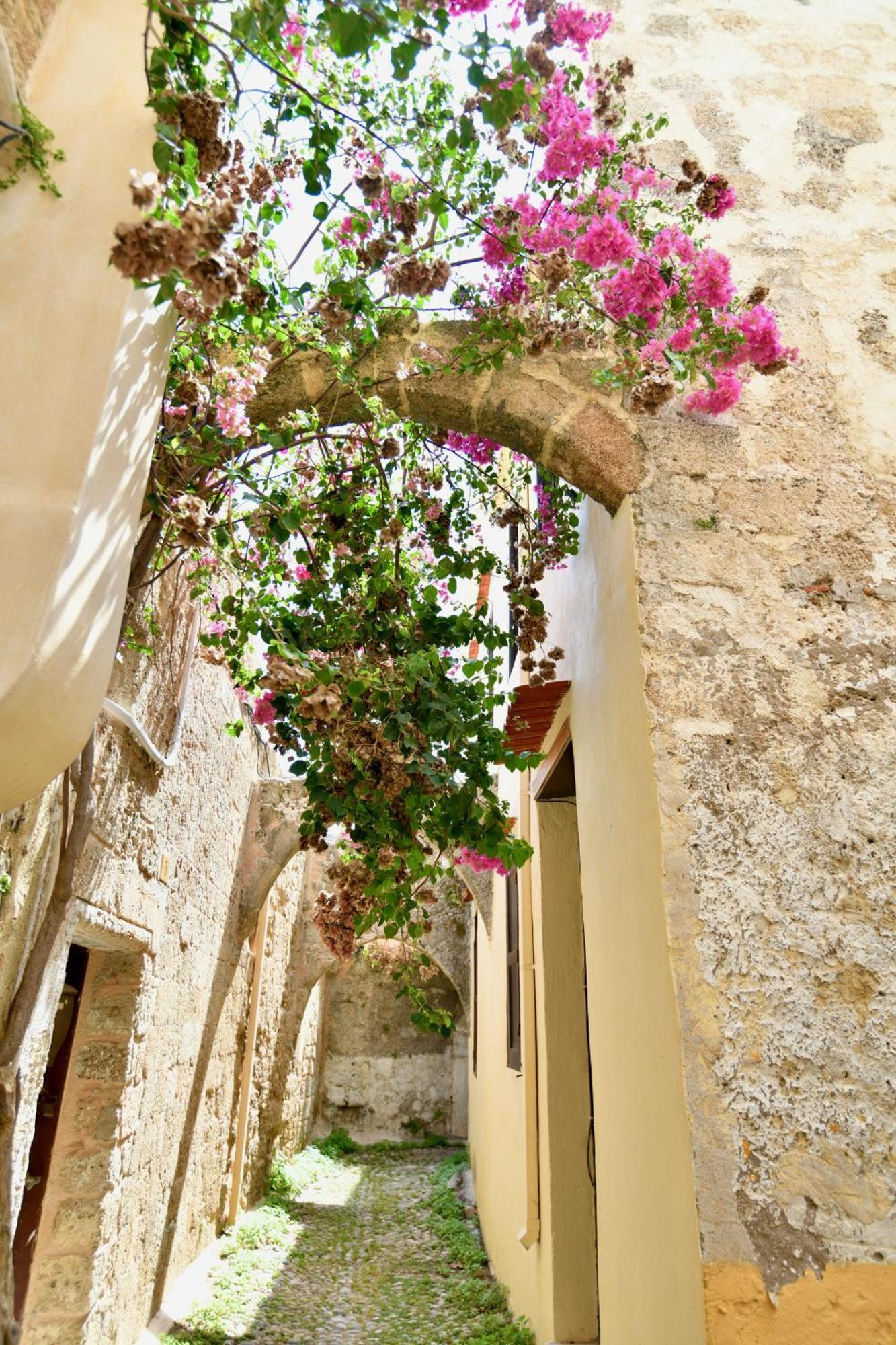 Apartment Penelope Garden House Old Town Rhodes City