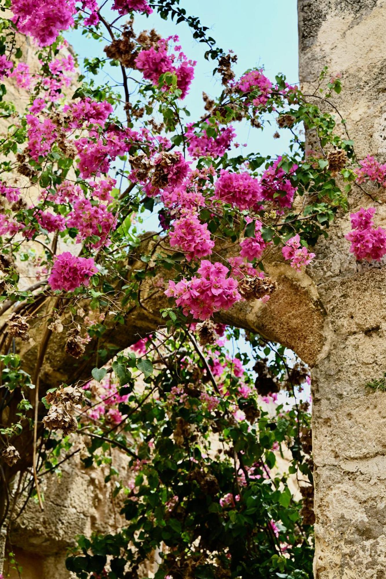 Penelope Garden House Old Town Rhodes City