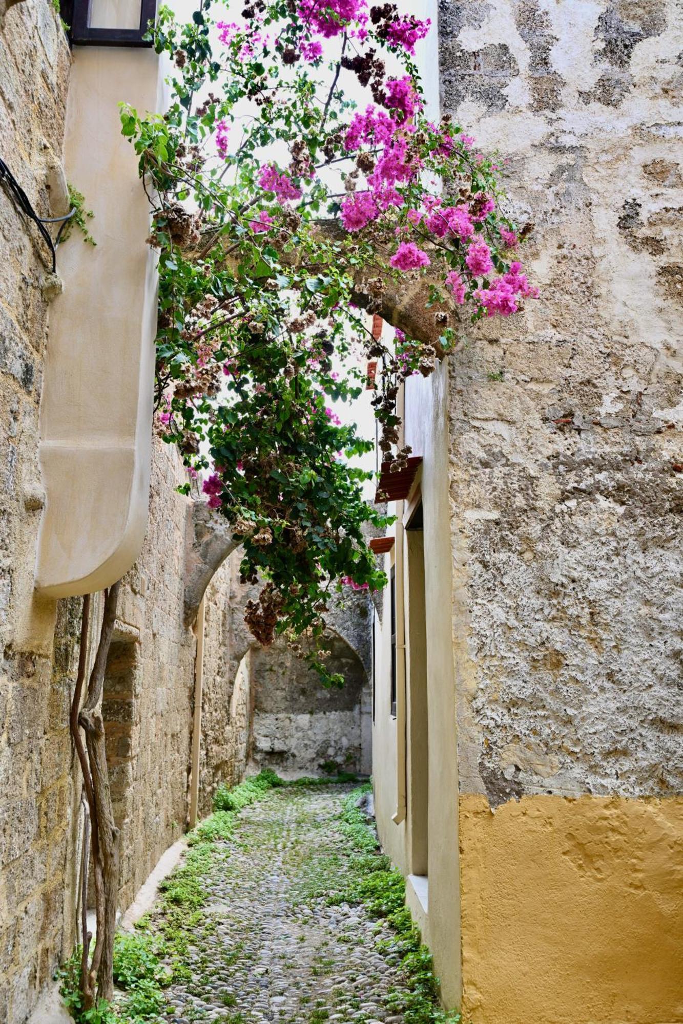 Apartment Penelope Garden House Old Town *